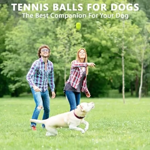 ZHUOKECE Pratik İçin Tenis Topları, Evcil Köpek Oyun Topları | Yeni Başlayanlar ve Köpekler İçin 8/18/40/90'lık Toplu Paket Eğitim Tenis Topları - 6