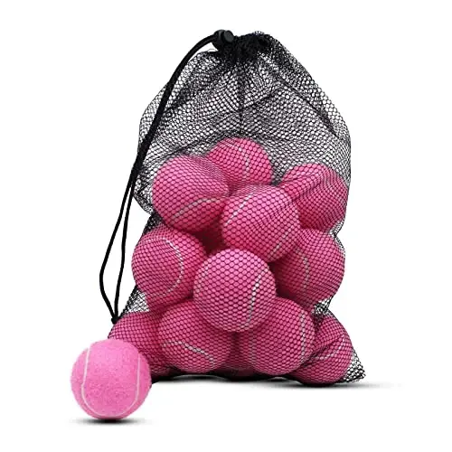 ZHUOKECE Tenis Topları, 18'li Paket Antrenman Tenis Topları, Kolay Taşıma için File Çantalı Pratik Toplar, Evcil Hayvan Köpek Oyun Topları, Başlangıç Seviyesi Antrenman Topu için uygundur 