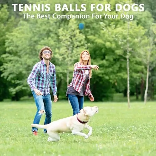 ZHUOKECE Tennis Balls for Practice,Pet Dog Playing Balls | 8/18/40/90 Bulk Pack Training Tennis Balls for Beginners and Dogs - 6