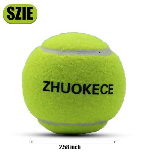 ZHUOKECE Tennis to'plari, 18 dona trening tennis to'plari mashq to'plari oson tashish uchun to'r sumkasi bilan, uy hayvonlari itlari o'ynash to'plari, boshlang'ich mashq to'pi uchun mos - 4